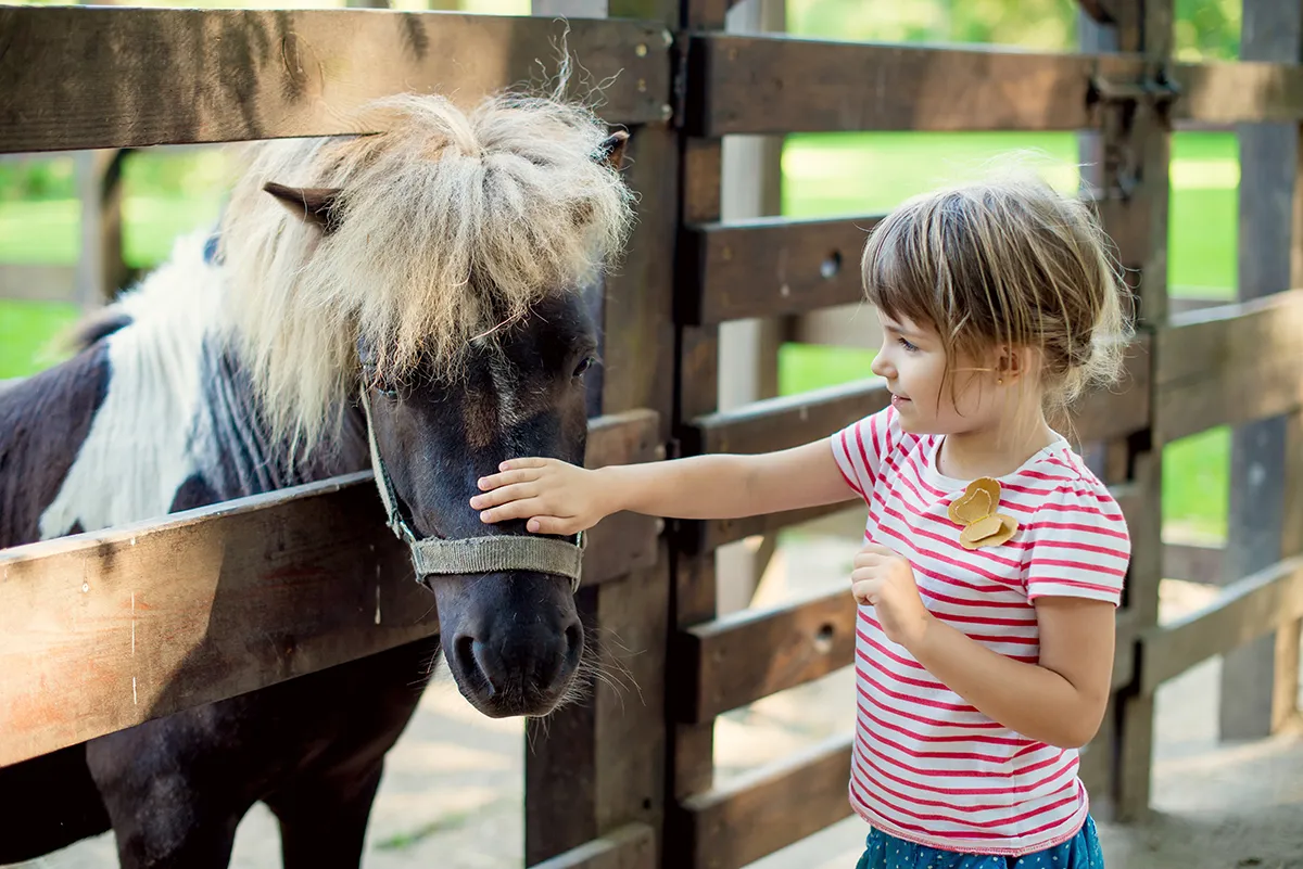 Sydney fairfield city farm